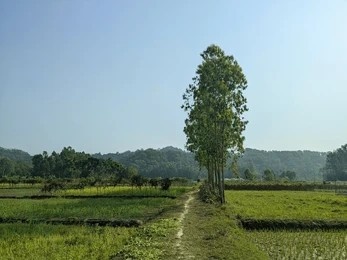 Clean Village